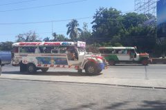 20190514_085125-scaled