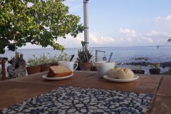 20190520_061208-scaled