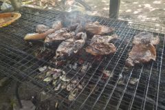 20260526_113231-scaled